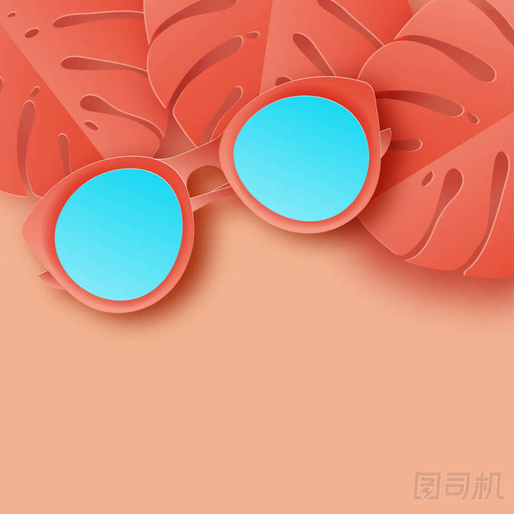 熱帶紙棕櫚, 龜背竹葉子框架和婦女的太陽(yáng)鏡