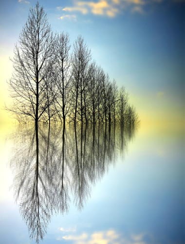 在水中的夕阳，反射图片