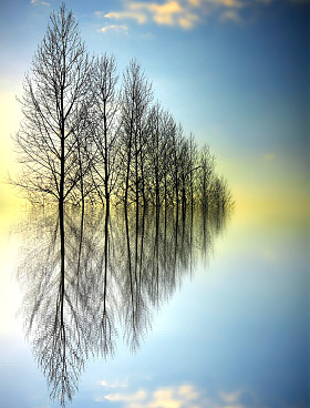 在水中的夕阳，反射图片