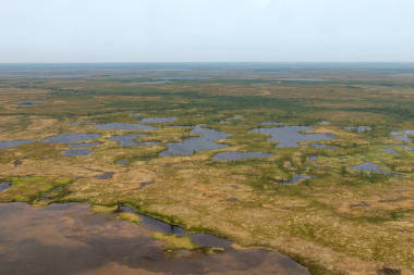 從上面的苔原照片
