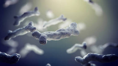 3d. 細菌、細菌感染、流行性疾病的例