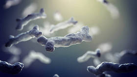 3d. 细菌、细菌感染、流行性疾病的例