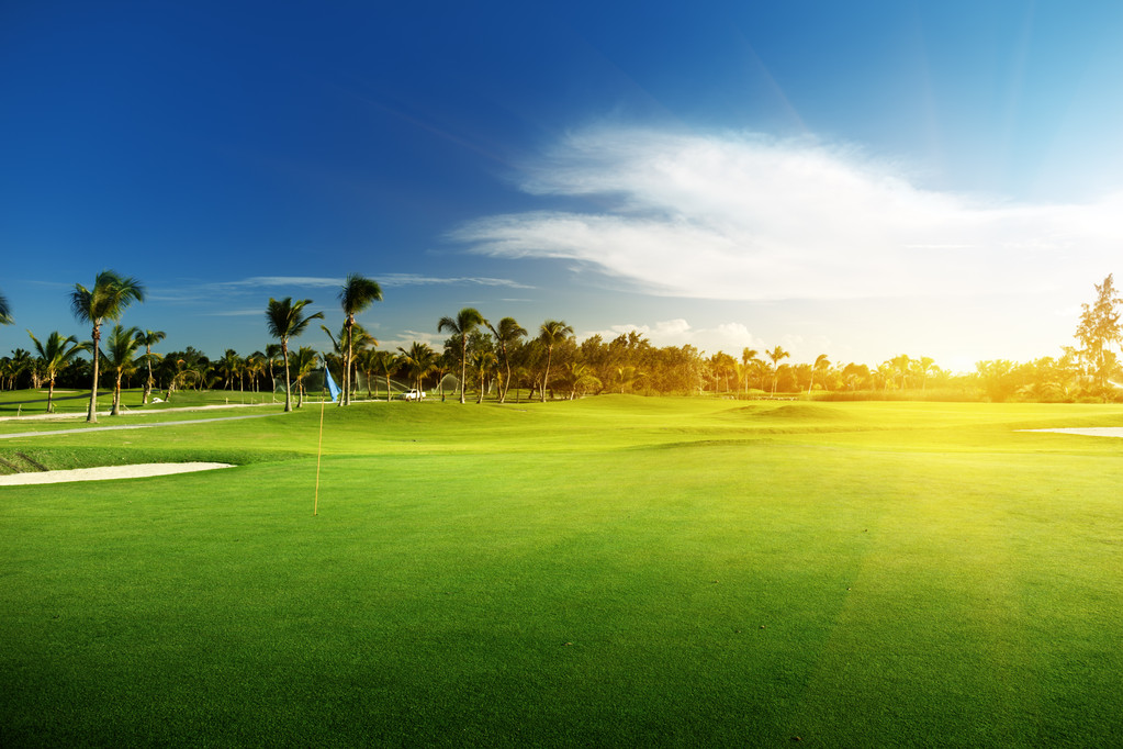 高尔夫球场 高尔夫球场