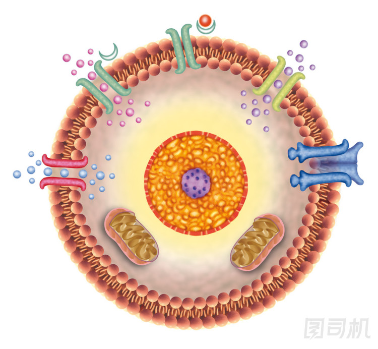 接收單元