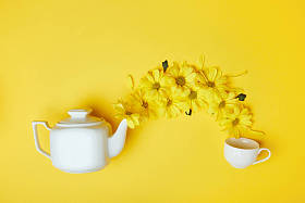 黄色菊花从白壶倒入杯中图片