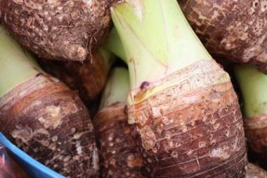 在街頭食品有機芋頭