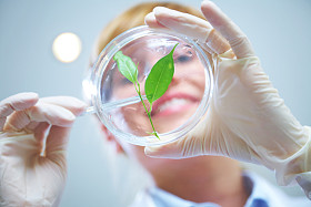 生物技术图片