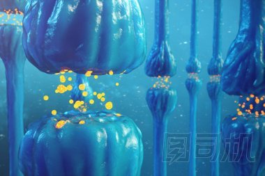 突觸傳遞, 人類神經(jīng)系統(tǒng)。大腦突觸。傳輸突觸, 信號, 沖動在腦子信息傳輸在細胞或原子水平。3d 渲染