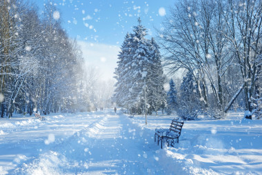 美麗的冬季風(fēng)景，白雪覆蓋的樹(shù)木