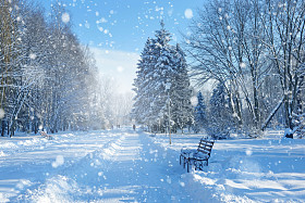 美丽的冬季风景，白雪覆盖的树木