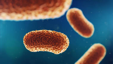 3d. 細(xì)菌的例證。醫(yī)療背景