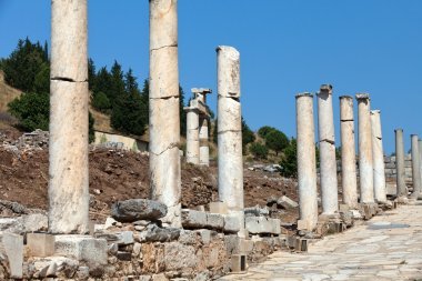 curetes 街的古希臘城市以弗
