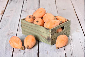 木制枇杷果图片