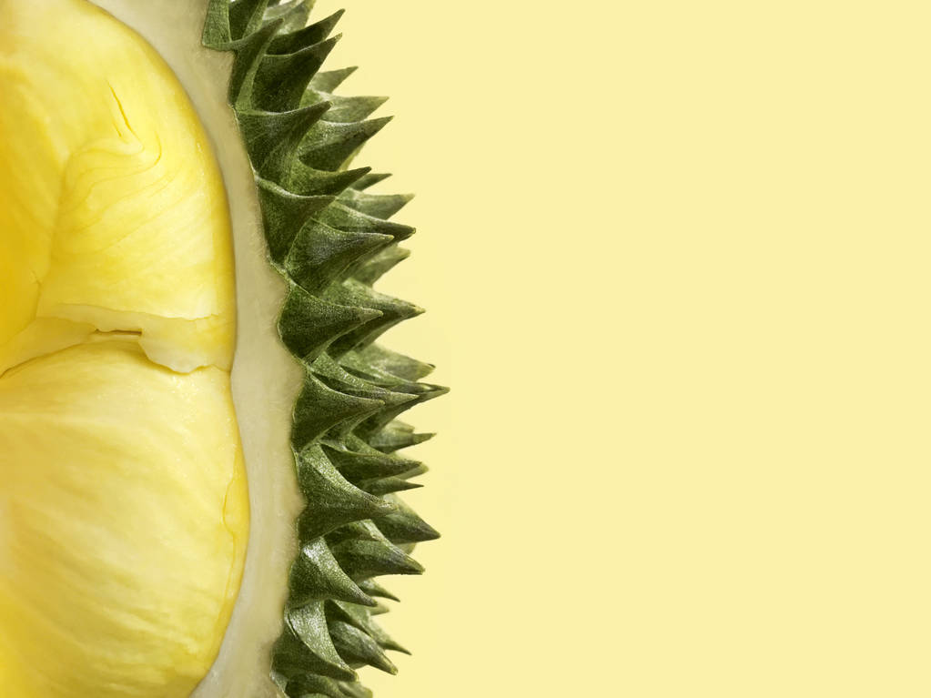 蒙洪杜里安 蒙洪杜里安