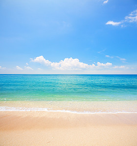 海滩和热带海图片