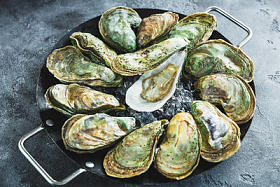 新鲜牡蛎盘在石头背景下图片