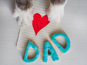 猫爪, 贺卡和单词爸爸