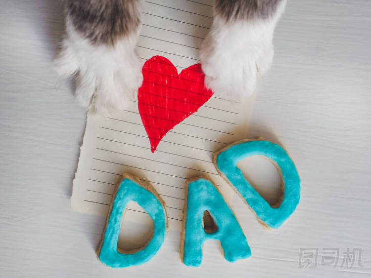 貓爪, 賀卡和單詞爸爸