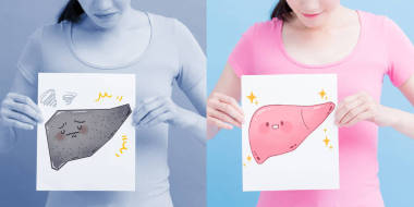 健康和不健康的肝臟廣告牌。健康理念