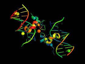 dna 的 3d 模型