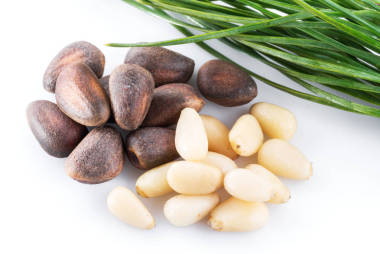 白色背景的松樹堅果。有機食