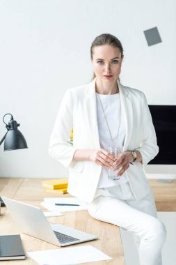 辦公室里有筆記本電腦的女商人肖像