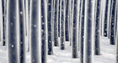 微觀的頭發(fā)纖維圖片