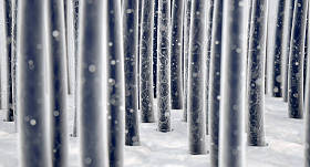 微观的头发纤维图片