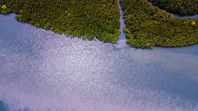 泰国甲米的树木或森林鸟瞰图  