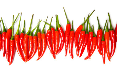 红辣椒隔离图片