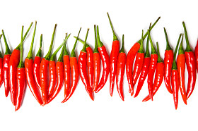 红辣椒隔离图片