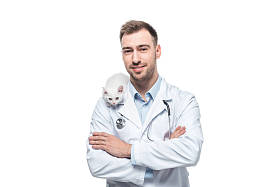 微笑的男性兽医与小猫隔绝在白色背景上