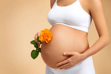 在米色背景下, 以玫瑰花為名的孕婦特寫。懷孕、生育、準(zhǔn)備和期望概念