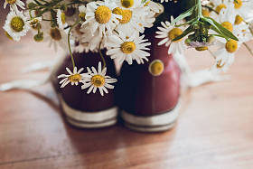 洋甘菊和运动鞋。复古风