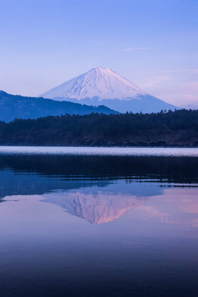 春季富士山与西湖湖照片