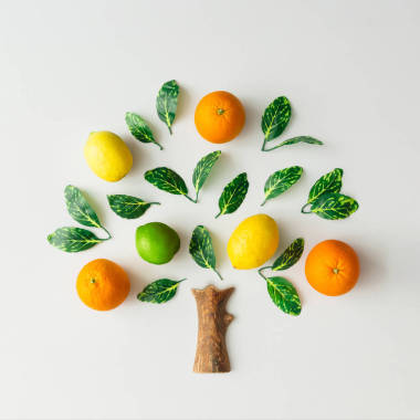 树由柑橘果、桔子、柠檬、石灰和绿叶在明亮的背景下制成。创意平躺自然理念
