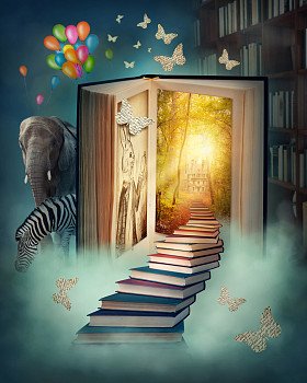 去楼上的神奇土地