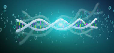 查看3d 渲染數(shù)據(jù)編碼 Dna 與二進制文件周圍