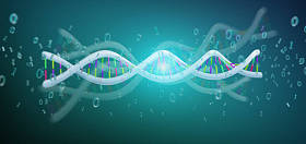 查看3d 渲染数据编码 Dna 与二进制文件周围