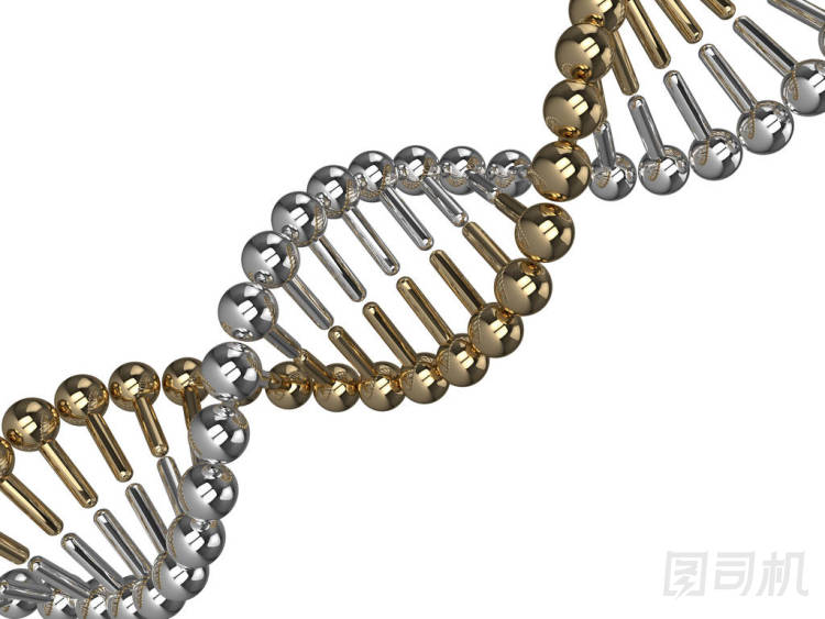 3d Dna 鏈的白色渲染