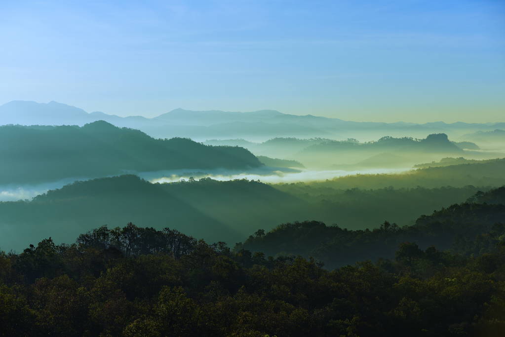 一看天空, 薄雾, 山观在黎明前的清晨, 仰望山顶。清晨日出在高山上 一看天空, 薄雾, 山观在黎明前的清晨, 仰望山顶。清晨日出在高山上