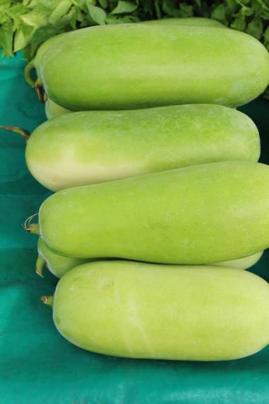 在街頭食品烹飪的冬瓜