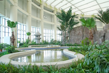 所有種類的植物和一個(gè)公園里中國(guó)建筑