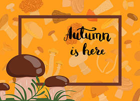 草背景下的食用菌载体照片