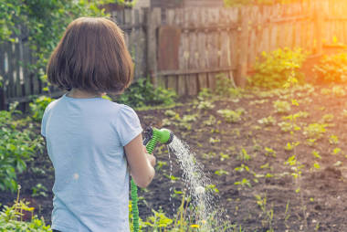 穿蓝色 t恤的女孩, 在阳光明媚的天气里用绿色软管浇灌花园