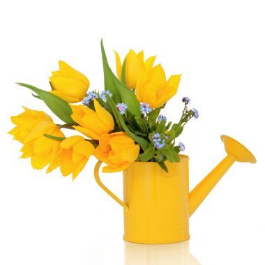 春季花卉之美照片