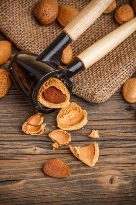 在內(nèi)核中的杏