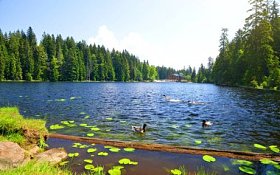 冰碛湖格罗瑟 Arbersee 在国家公园巴法力亚森林。德国