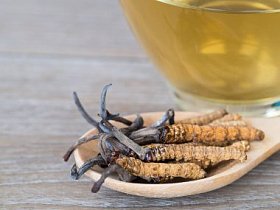 Ophiocordyceps 或蘑菇虫草这是一种草药放在木勺前, 一杯冬虫夏草水。在孤立的背景上。国家有机医学
