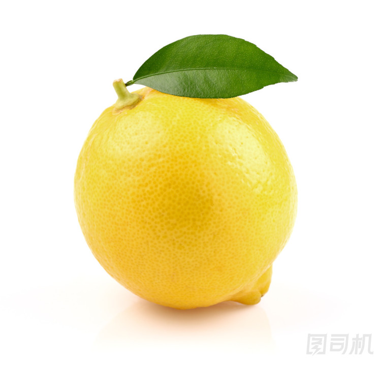 多汁檸檬葉